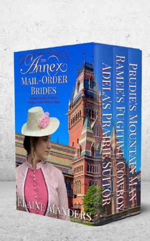 [Intrigue Under Western Skies 01] • The Annex Mail-Order Brides